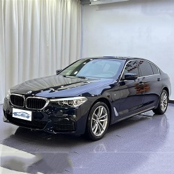 BMW 5 серии 2020 525Li M Спортивный пакет