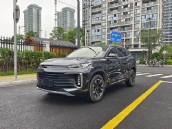 Chery Exeed 2021 290T 2WD Xingxiang Edition